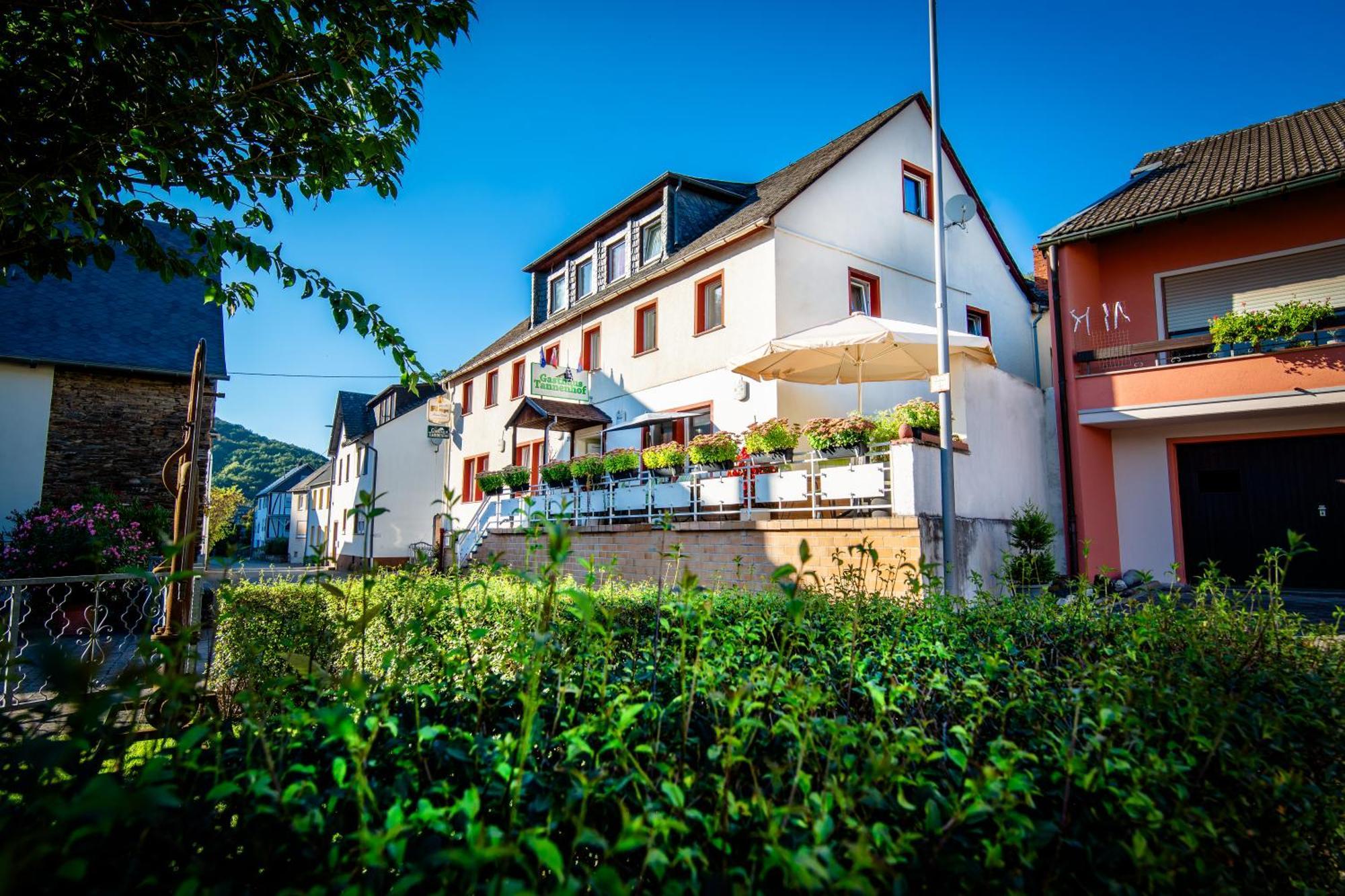 Gasthaus Tannenhof Lutz Екстер'єр фото